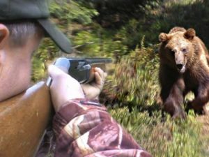 Охота на медведя фото